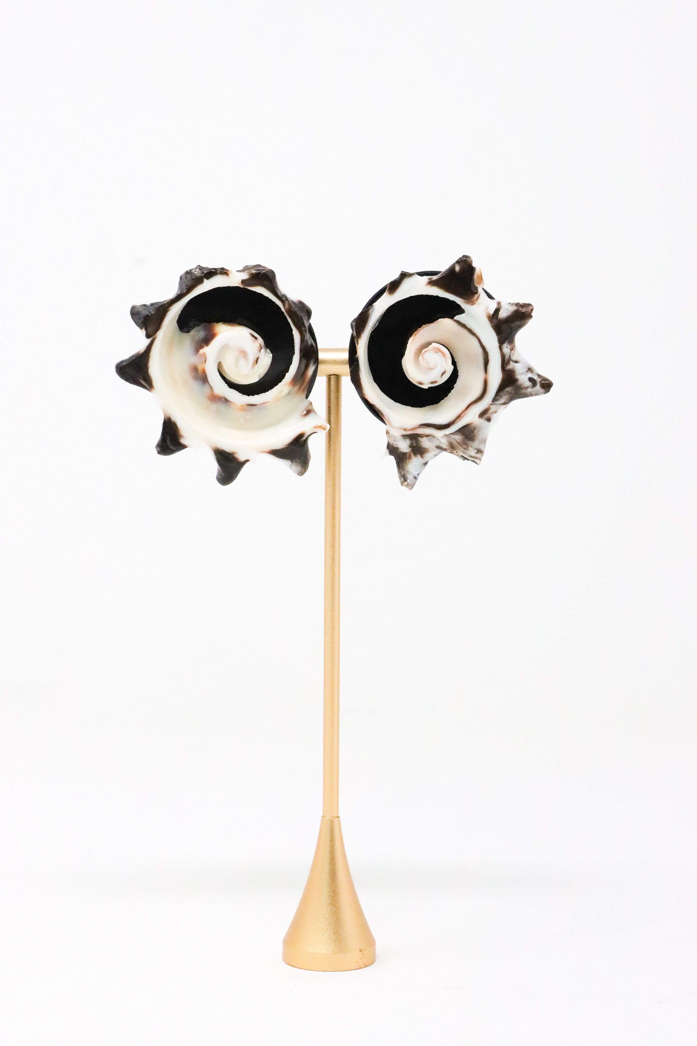 Sally Bass Slice of Shell Clip-On Earrings