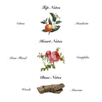 Anarkh Luxury Home Diffuser (2 Scents)